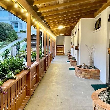 The Swiss Chalet Holiday Apartment 4, Bay Of Islands 파이히아 외부 사진